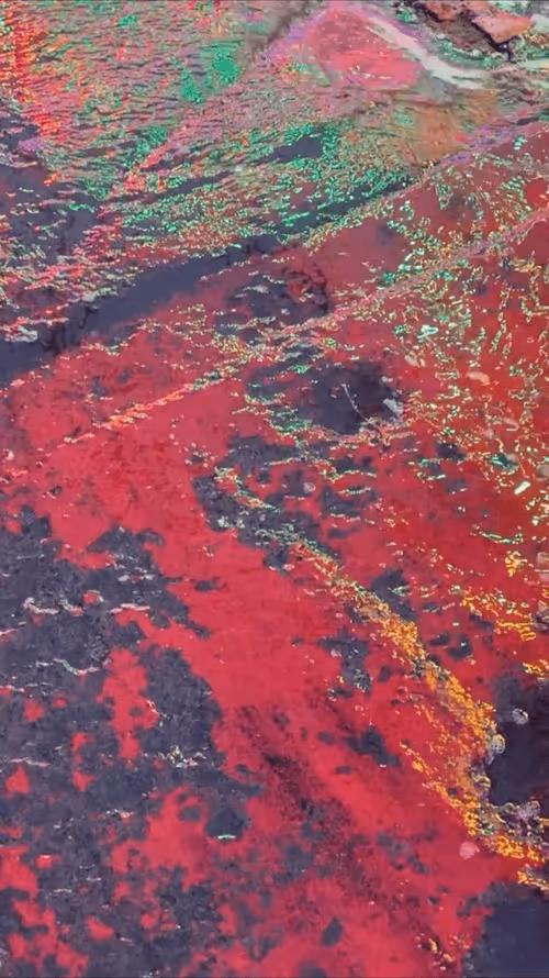 Item #62402000334580523921237358418718502457721815832787791947048085165054225285121 Media