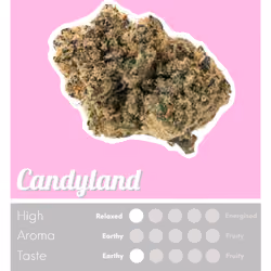 Candyland