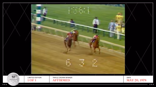 Item #79975600790297469397533690747377572163601713717116717901210001695532189220865 Media