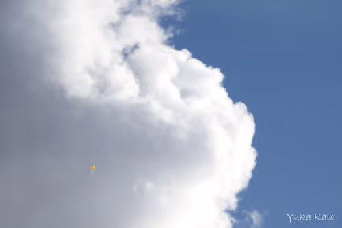 Item #111326101478107214990251795731047965840392207690526379209547236965294482128897 Media