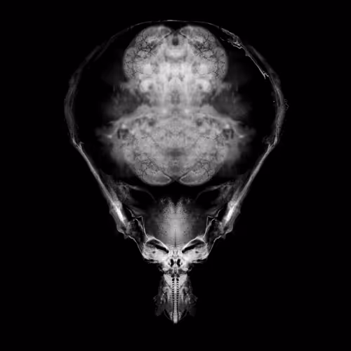 Alien Embryos