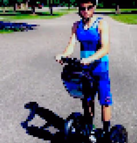 SituationDave Collection