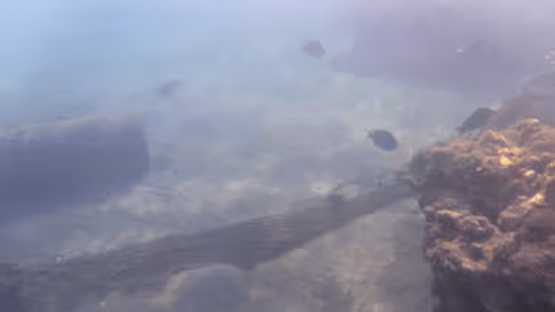 Item #32522392328516293709208538786472574869311995244495637720412795752003938549765 Media