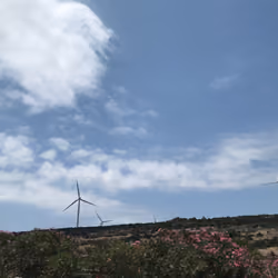 UpLand #8: Windmills