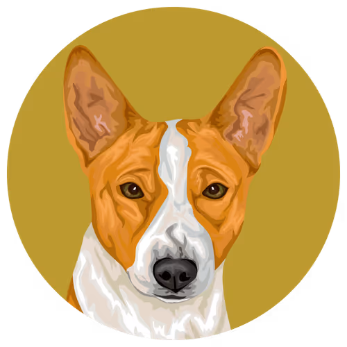 54766349128176429303044182404049584425310907481653304317570413872658216124417