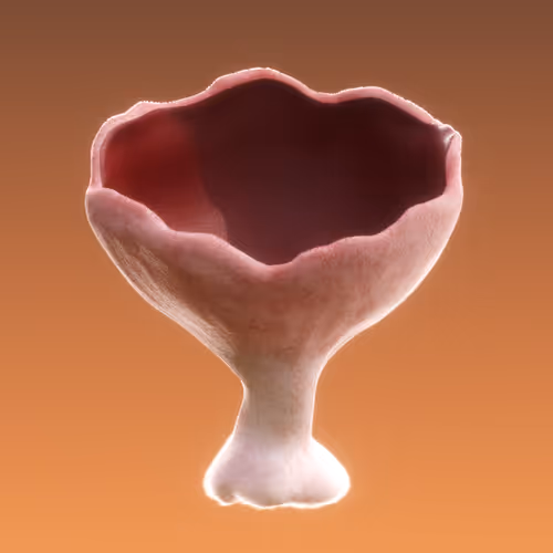 Item #95653877050150474555742155054455970472164202465768371638498213979982160461825 Media