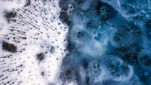 Item #44597214207808434690728600590910675747721082411314355056024202378086038110209 Media