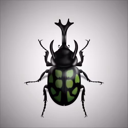 Item #15006194083360452165747859706250248338064014496976576965207408181136364404737 Media