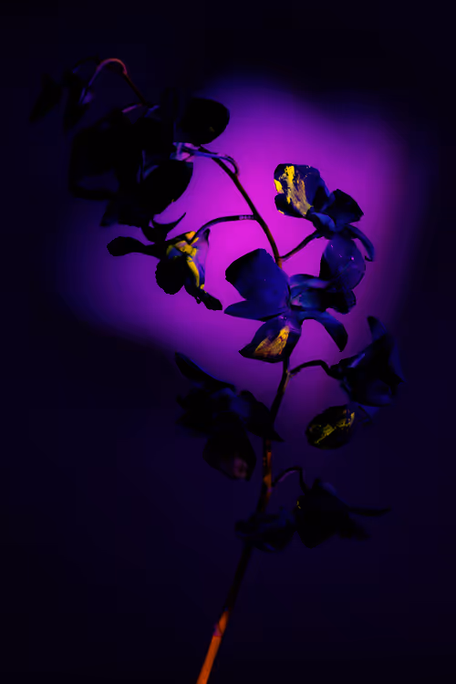 Item #6543125285758794139519418366552479585360659536622126303737985080451917676545 Media