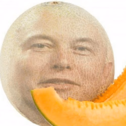 Melon Musk