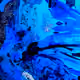 8854031956370292257137205402419486959141296235170452724364859009991826210817