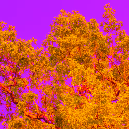 Item #35965218379738729691291467168286792303482134167127854404987491573491249971201 Media