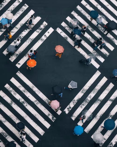 Item #81365922554281880143414136761733390581567018146899571572498285343340457099265 Media