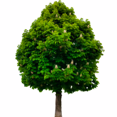 Item #105603725609947989499044129472074064723412167009068320432332286922928452272129 Media