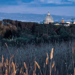 ROMA#24