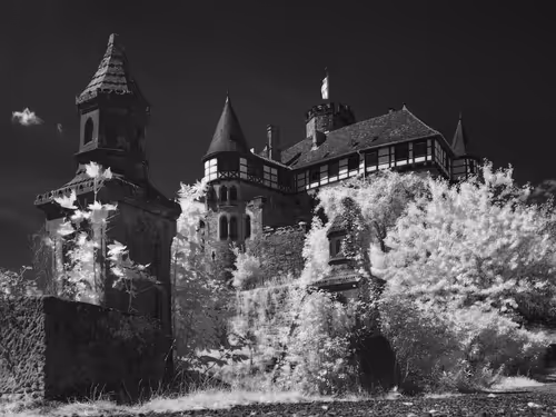 Item #40160686583094733528677484039903516258611509642019211679321071660679840137217 Media