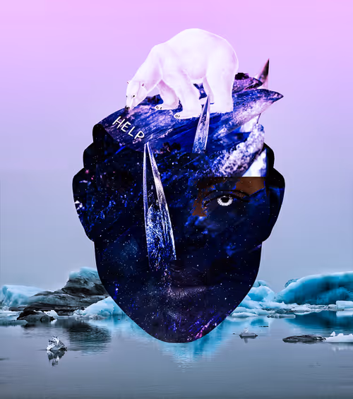 Item #10133503931691611381105861866214852730808786993761746614125845726031392014337 Media