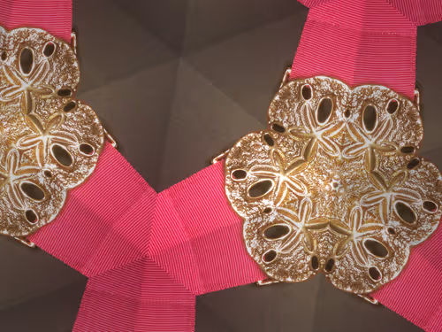 Item #69376820955182207634374405090115864776049539168882178084902512086725492211713 Media