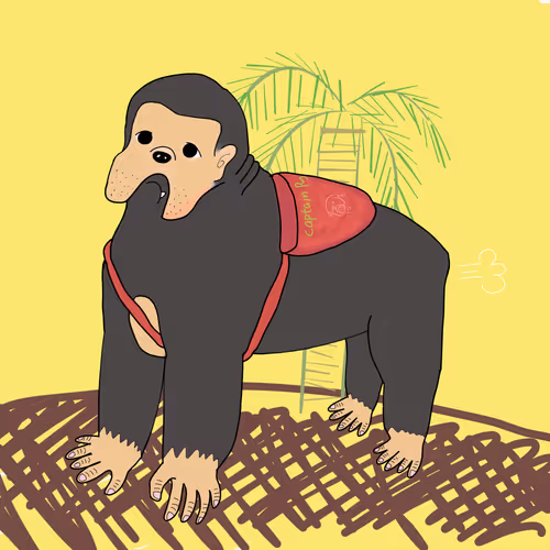 Item #56402991588913467574573002722147845360859842028957618957515783255095699832833 Media