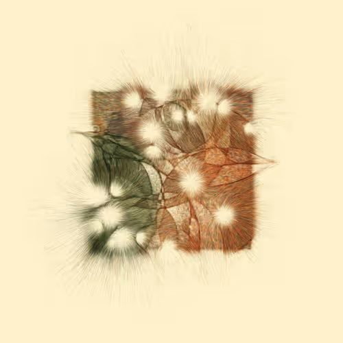 Item #74011109513159304894558377152860080667648997857135590135513699085691480178689 Media