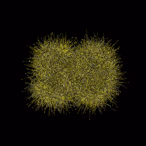 Item #31186271462743839332083495437684930572283654238385709344730710931119823388673 Media