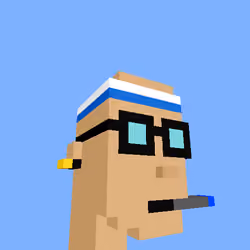 PunkVoxels #3668