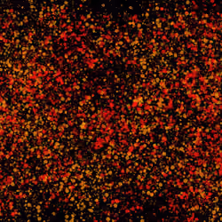 Respect is earned, Honesty is appreciated, Trust  is gained, Loyalty is returned