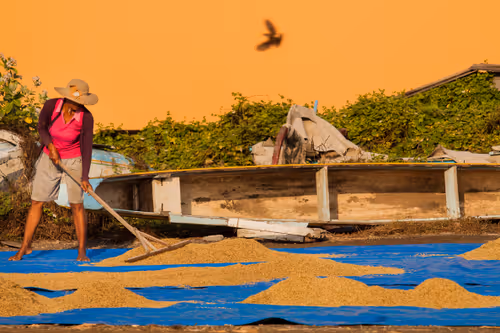 Item #105679162715773690367894814568251153202929894369313826483118647846589532471297 Media