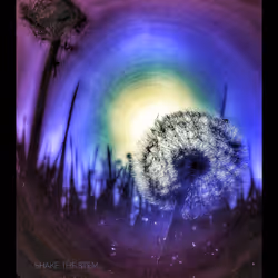 3787080761074609709675817509753112159059746763483256848434353564393477767173