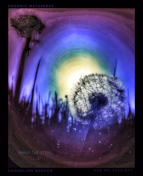 Item #3787080761074609709675817509753112159059746763483256848434353564393477767173 Media