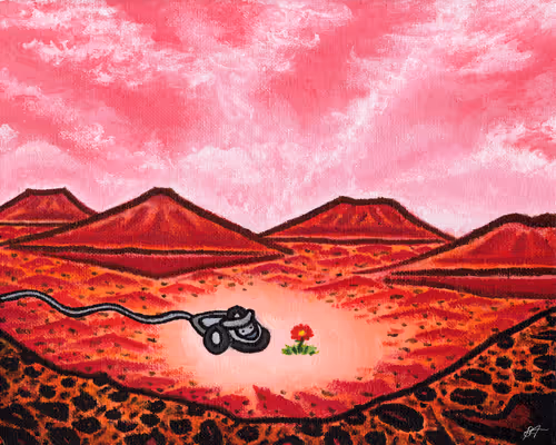 Item #7969643517947948089861937054808289230644488325922775453003202768983243620353 Media