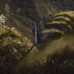 #41. Waterfalls of Reunion