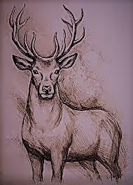 Item #87883982563548896156173273073311949349227832821520783142673990964530716344321 Media