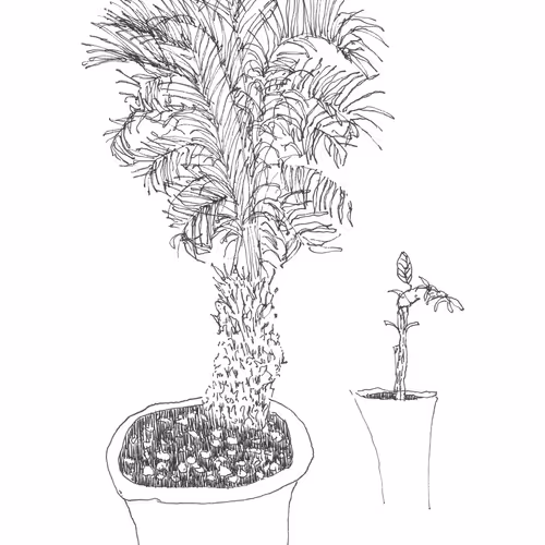 Jaewook_art Collection - old