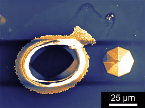 Item #88425369129469894980589771095889463825406609439564309002072926003800838242305 Media