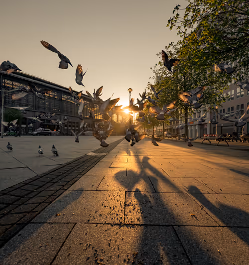 Item #25384889710298650367098582355534867069035034210500860007263878606115802447873 Media