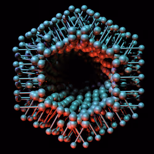 Coccus # 1