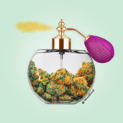 Weed Feed