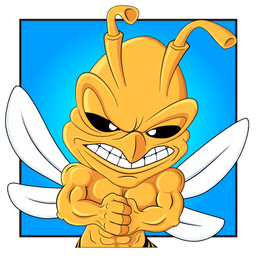 Raven65 Collection - old