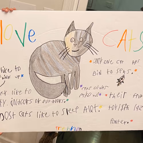 Only one cat has ever been to space