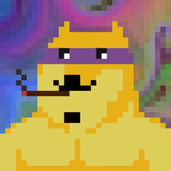 CryptoShibe #2775