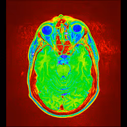 64162533542198579898252916190583583845604629893829087458582976210885924618241