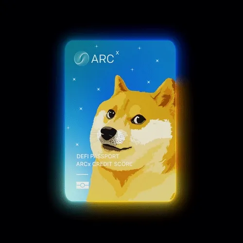 Arcx Defi Passport Skins