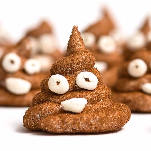 Toasted Turd