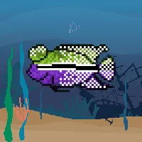 78964944229926021655968168462037545876501657311134209832205588638529902084097