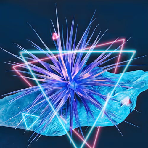 Item #8607677958191038044004830040679912821884152676576415147527512967291181465601 Media