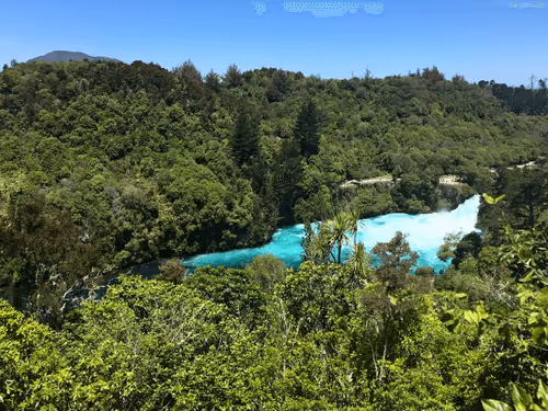 TamaraSzulc Collection