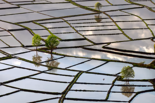 Item #21360135595636761708002264298030741123237362591555506440031731747181016645633 Media