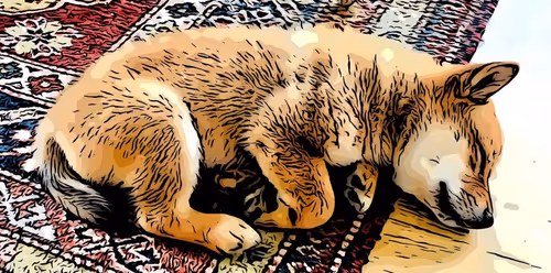 Item #57603010967997990799238125596908103351135631907587812251148723365644301500417 Media