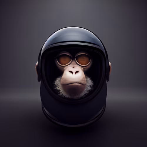 Item #61113754682338237329218241278723179285624197842437990369907456664231263338497 Media